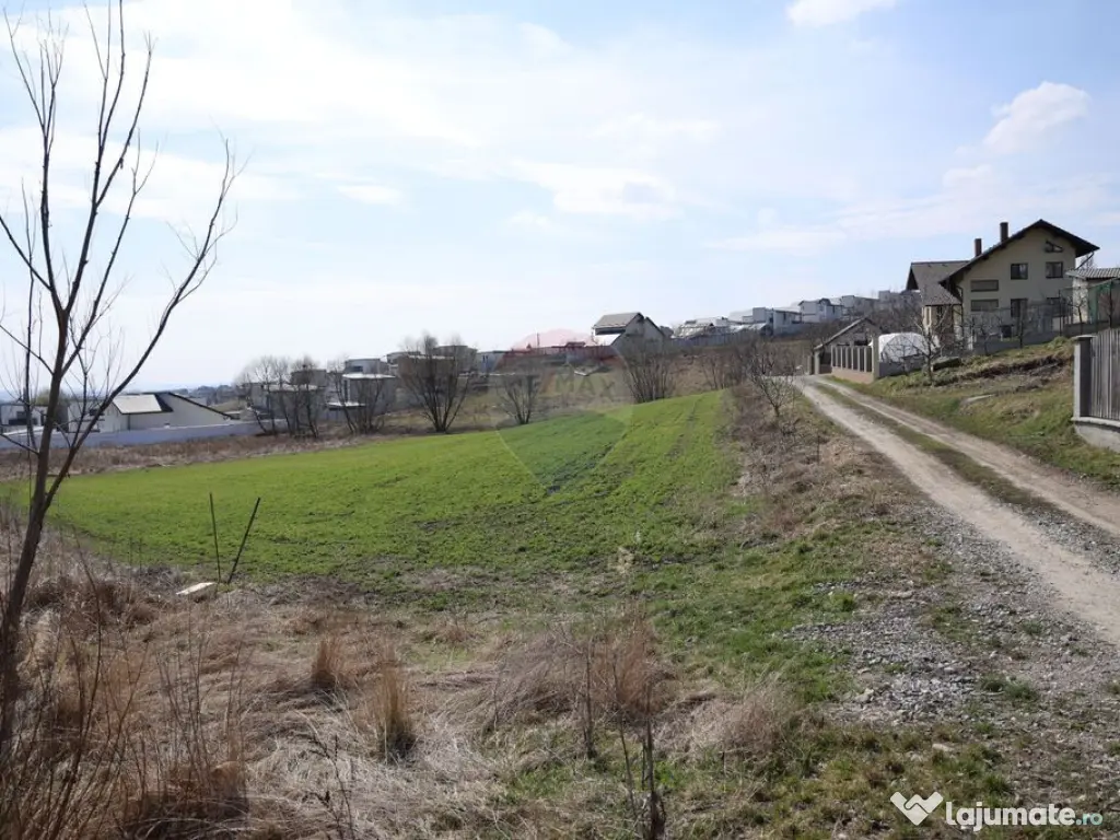 Teren 3,500mp Moara / Strada Pprincipala 