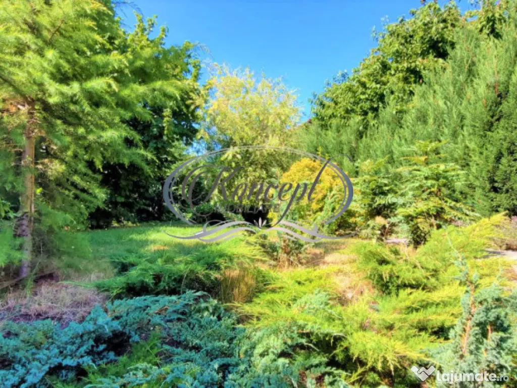 Spatiu de birouri in Andrei Muresanu 