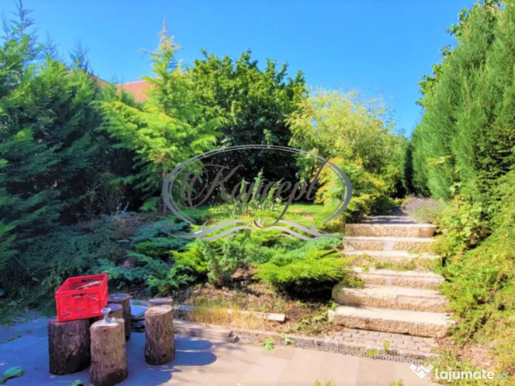 Spatiu de birouri in Andrei Muresanu 