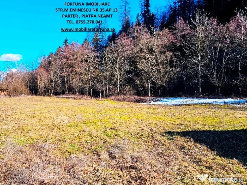 Casa P+M si 1400 mp teren,langa parau si padure, com.Piatra Soimului 