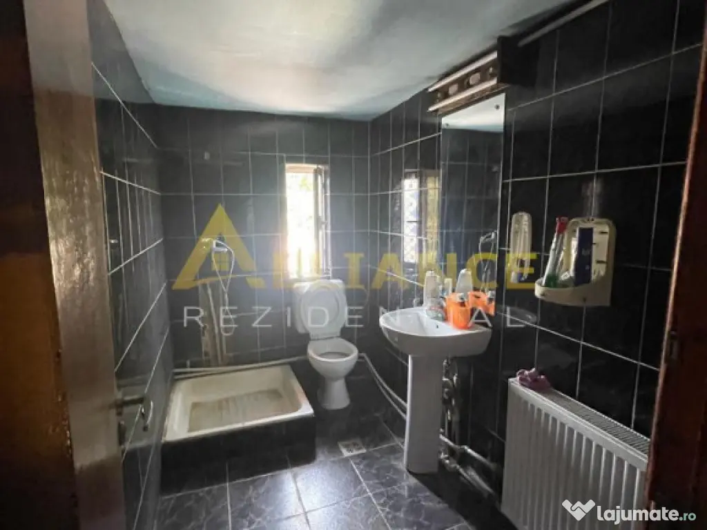 Brancoveanu-Nitu Vasile | Casa Individuala- D P 1 M 