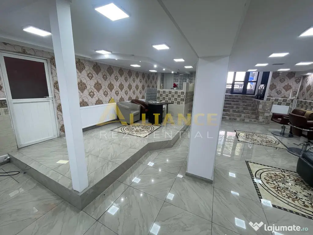 Brancoveanu-Nitu Vasile | Casa Individuala- D P 1 M 