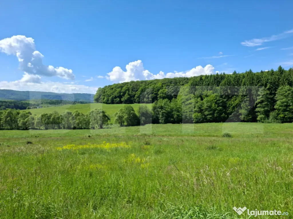 Teren Brasov , Dumbravita ,intravilan 600 mp pretabil casa s 