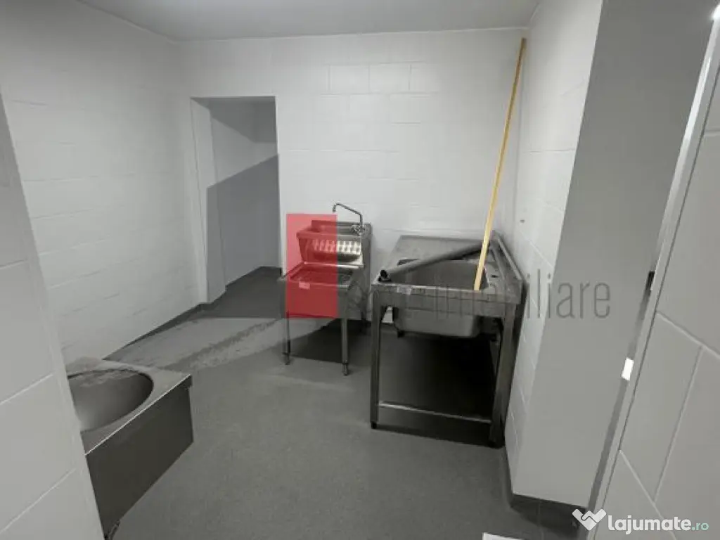 Spatiu Comercial ideal HoReCa, 100mp, curte 40mp, Dna Ghica 