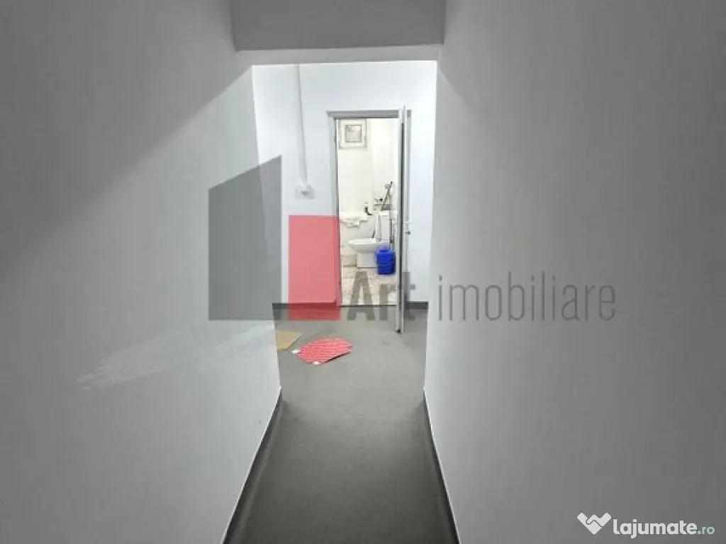 Spatiu Comercial ideal HoReCa, 100mp, curte 40mp, Dna Ghica 