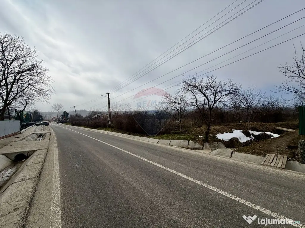 Casă cu 4 camere si teren 7727 mp Blidari