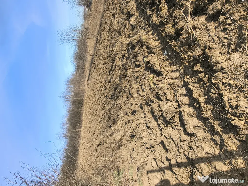 Teren intravilan Cuza-vodă-Popricani 900mp