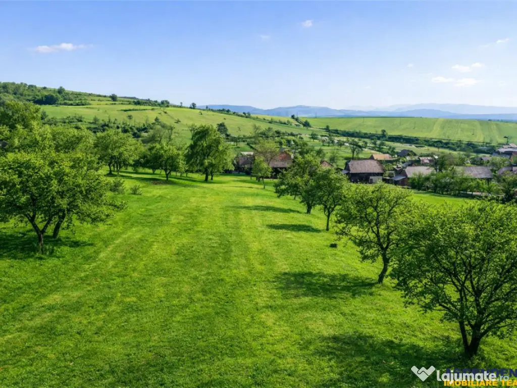 Film! Teren apreciabil, 2.819 mp casa, Mereni, Covasna