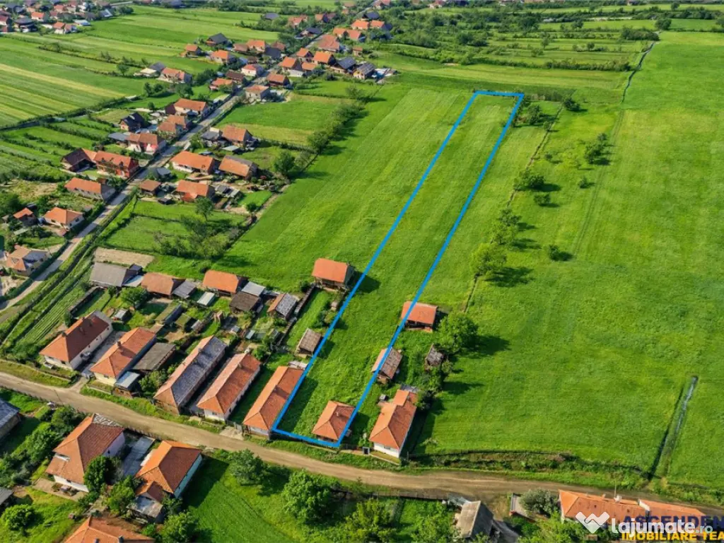 Film! Teren apreciabil, 2.819 mp casa, Mereni, Covasna