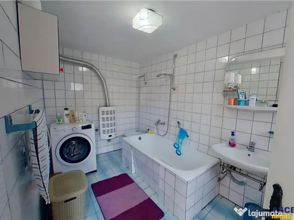 Poveste saseasca la umbra vitei de vie,cu crama,gradina flor