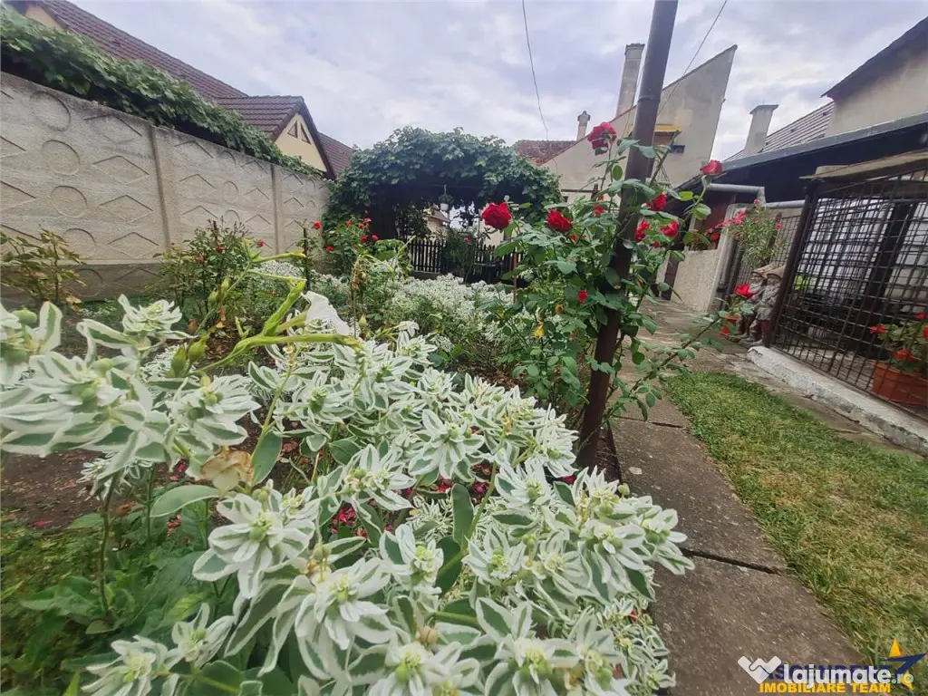 Poveste saseasca la umbra vitei de vie,cu crama,gradina flor