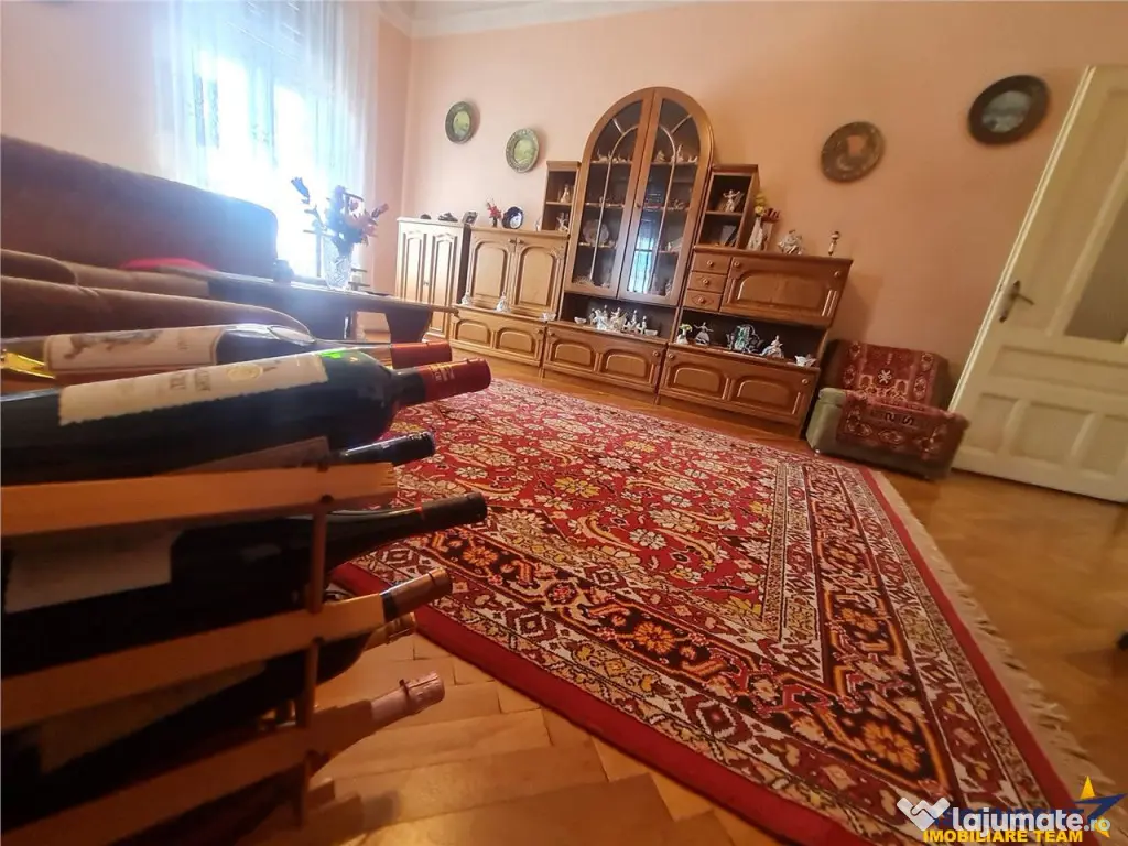 Poveste saseasca la umbra vitei de vie,cu crama,gradina flor