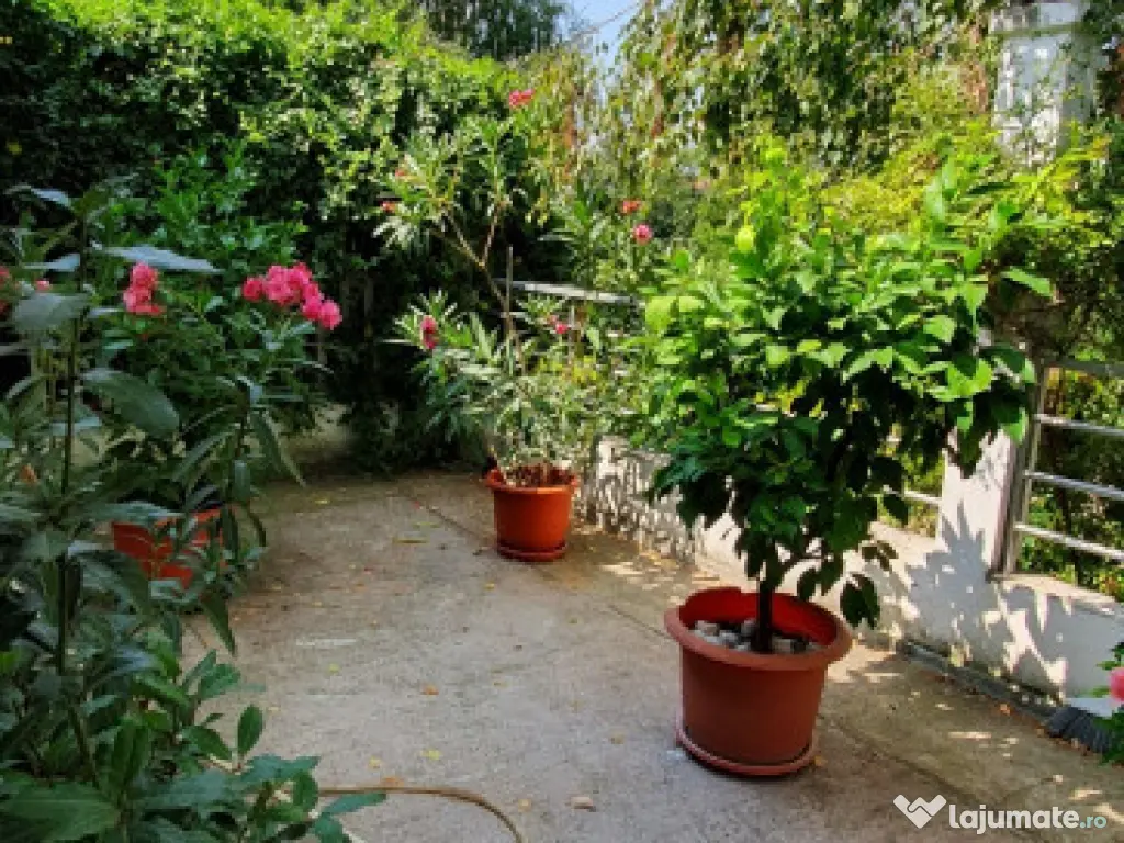 Bra BUCOV - spt com, P+E, 5cam, gr sanit., Su-180mp - 800 eu