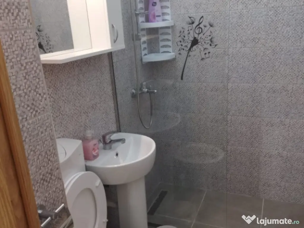 Garsoniera Tudor Vladimirescu