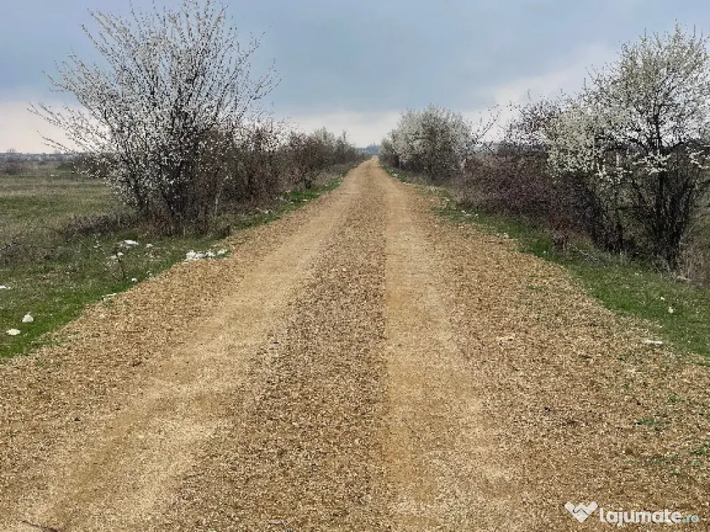 Teren Piscul Mosului 1000 mp New 2026