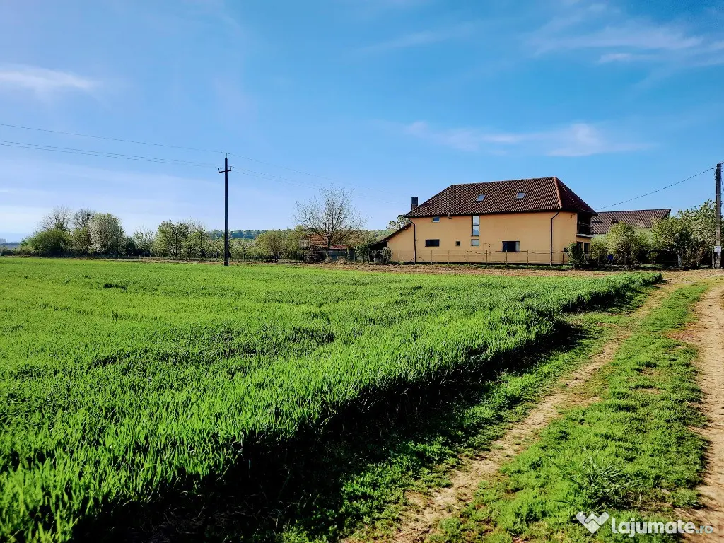 Teren Santuhalm-Deva 