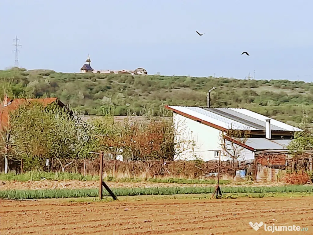 Teren Santuhalm-Deva 