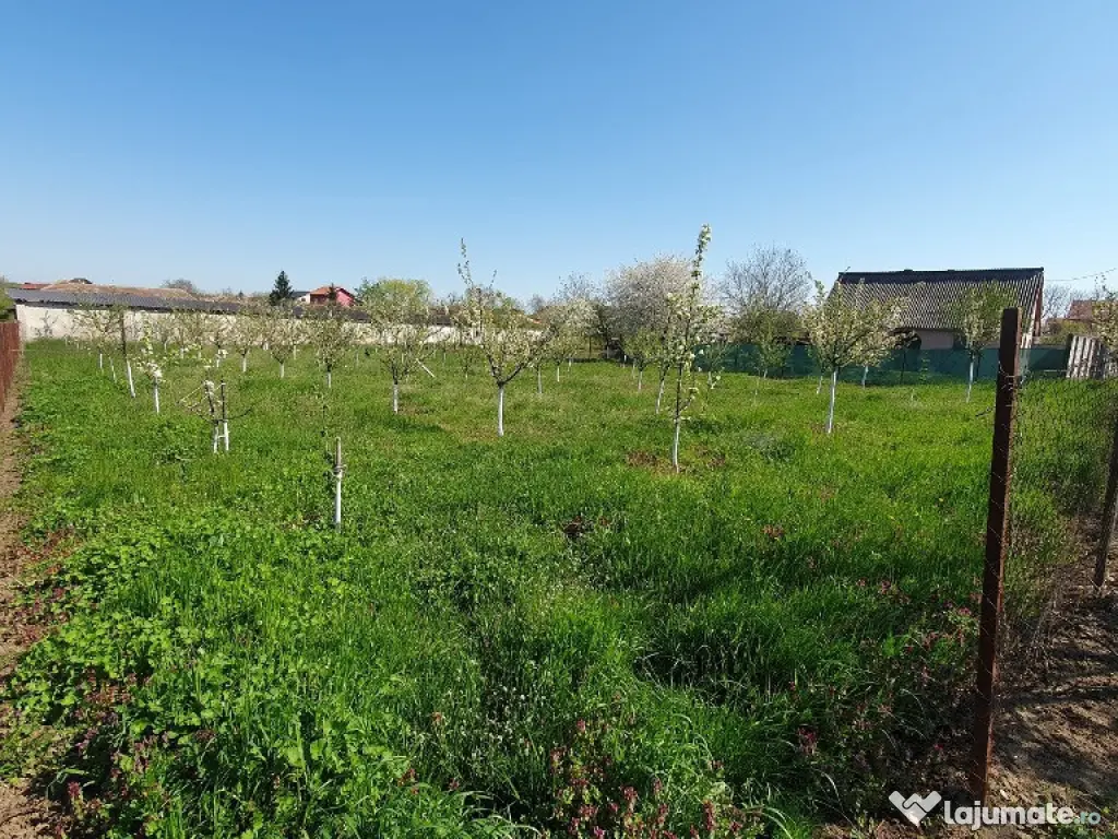 Teren 1.195 mp in Zadareni - ID : RH-37242-property 