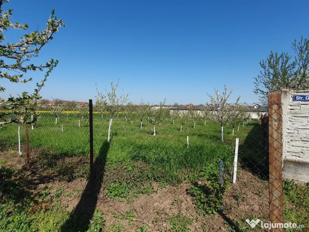 Teren 1.195 mp in Zadareni - ID : RH-37242-property 