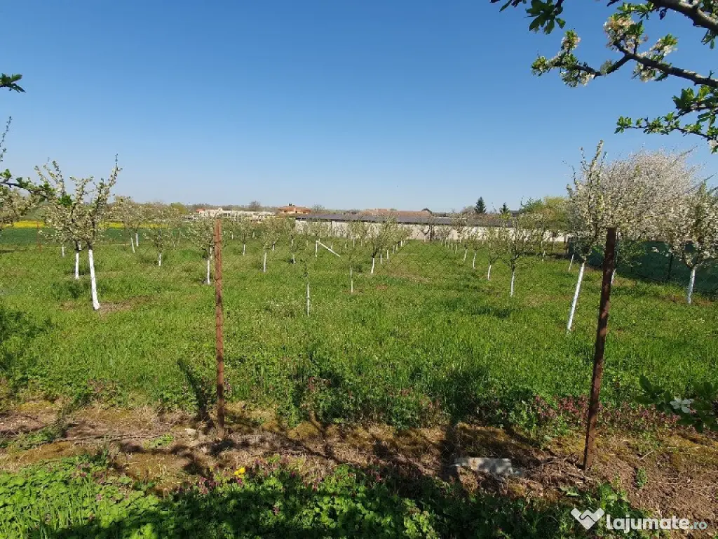 Teren 1.195 mp in Zadareni - ID : RH-37242-property 