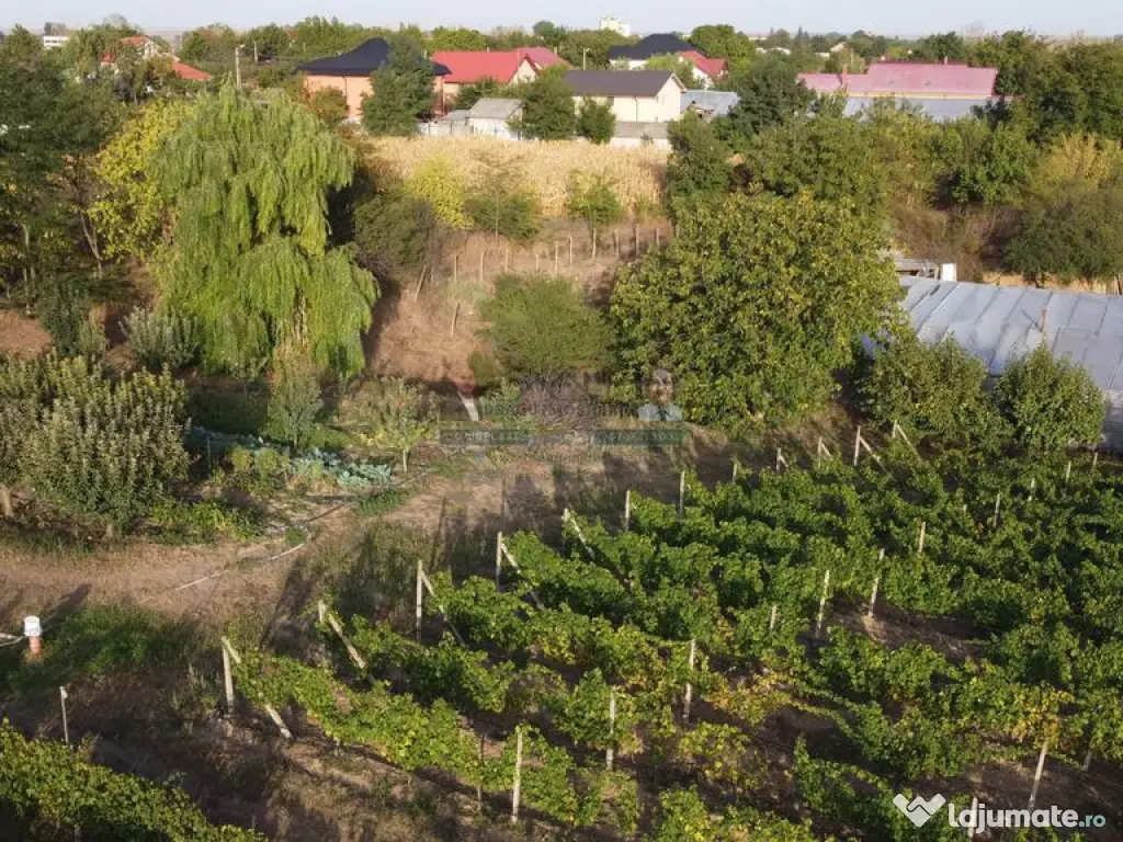 Teren intravilan Tecuci/Podgorie si Pomi Fructiferi/5000 mp