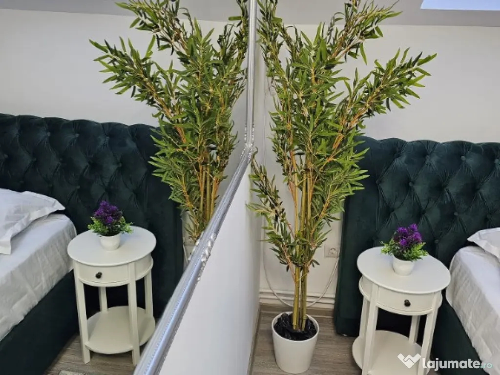 Camere de inchiriat de LUX de la 45 euro/noapte 