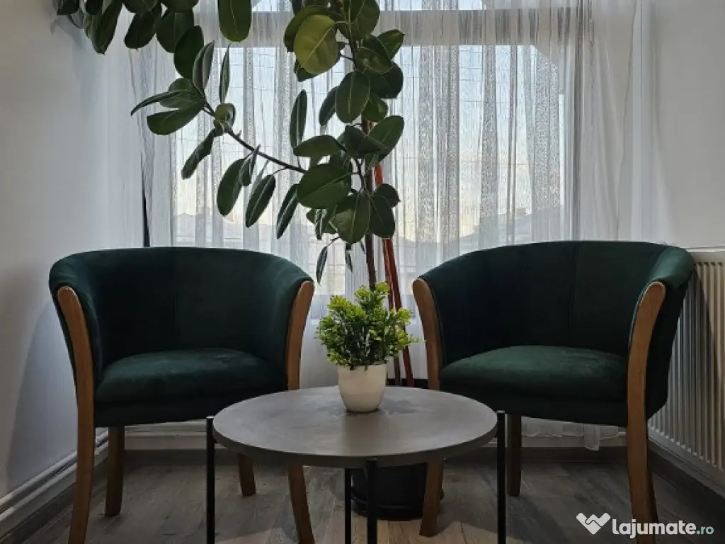 Camere de inchiriat de LUX de la 45 euro/noapte 