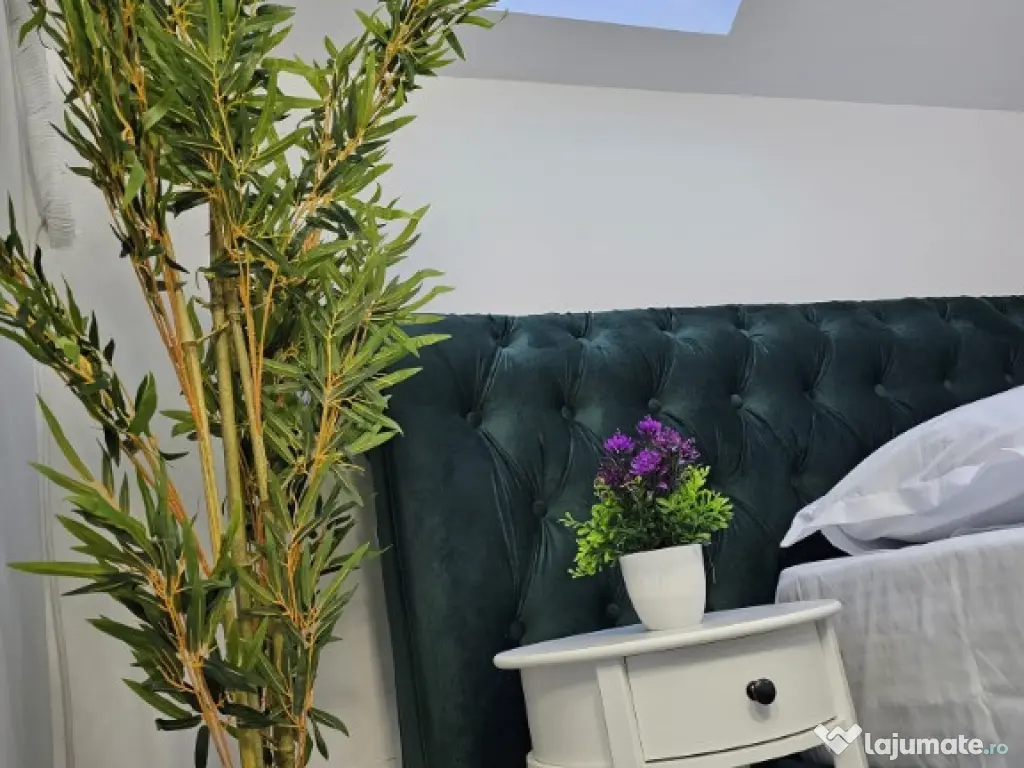 Camere de inchiriat de LUX de la 45 euro/noapte 