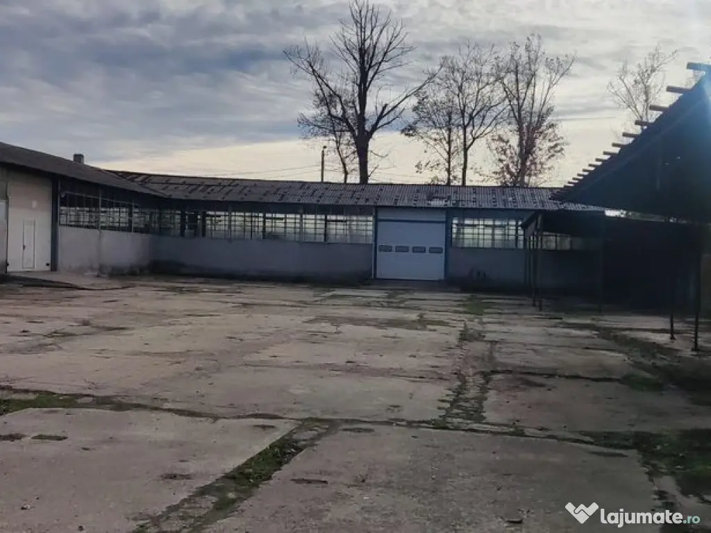 Hale + platforma betonata mp Giurgiului ( Zetari ) 