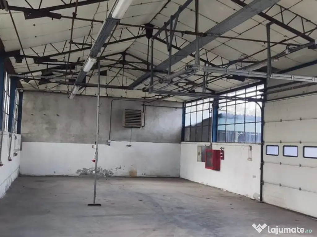 Hale + platforma betonata mp Giurgiului ( Zetari ) 