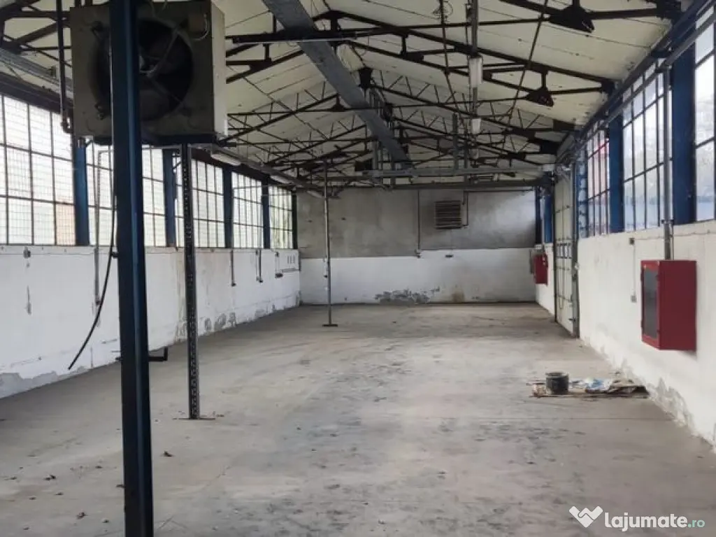 Hale + platforma betonata mp Giurgiului ( Zetari ) 
