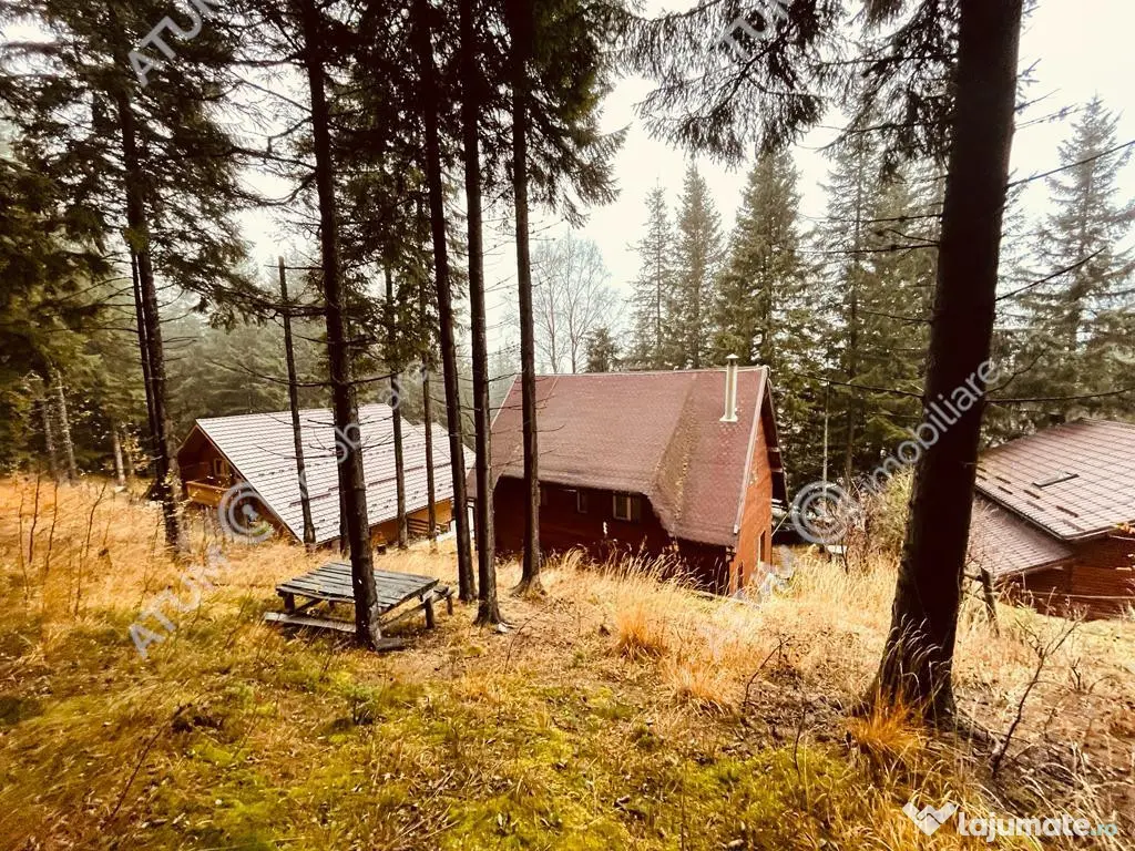 Casa de vacanta/Cabana cu 8 camere de in Paltinis 