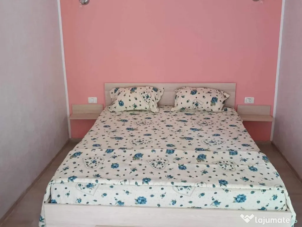 Garsoniera zona Plopilor