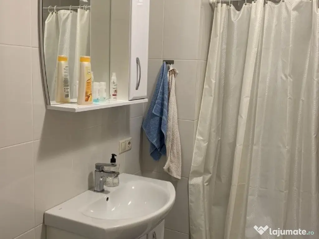 Apartament cu 1 camera in Dambul Rotund 