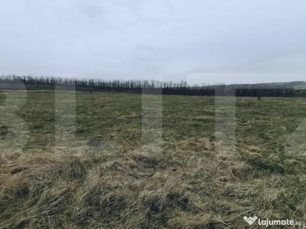 Teren intravilan 750 mp in Sopor - Cluj Napoca, front 29m