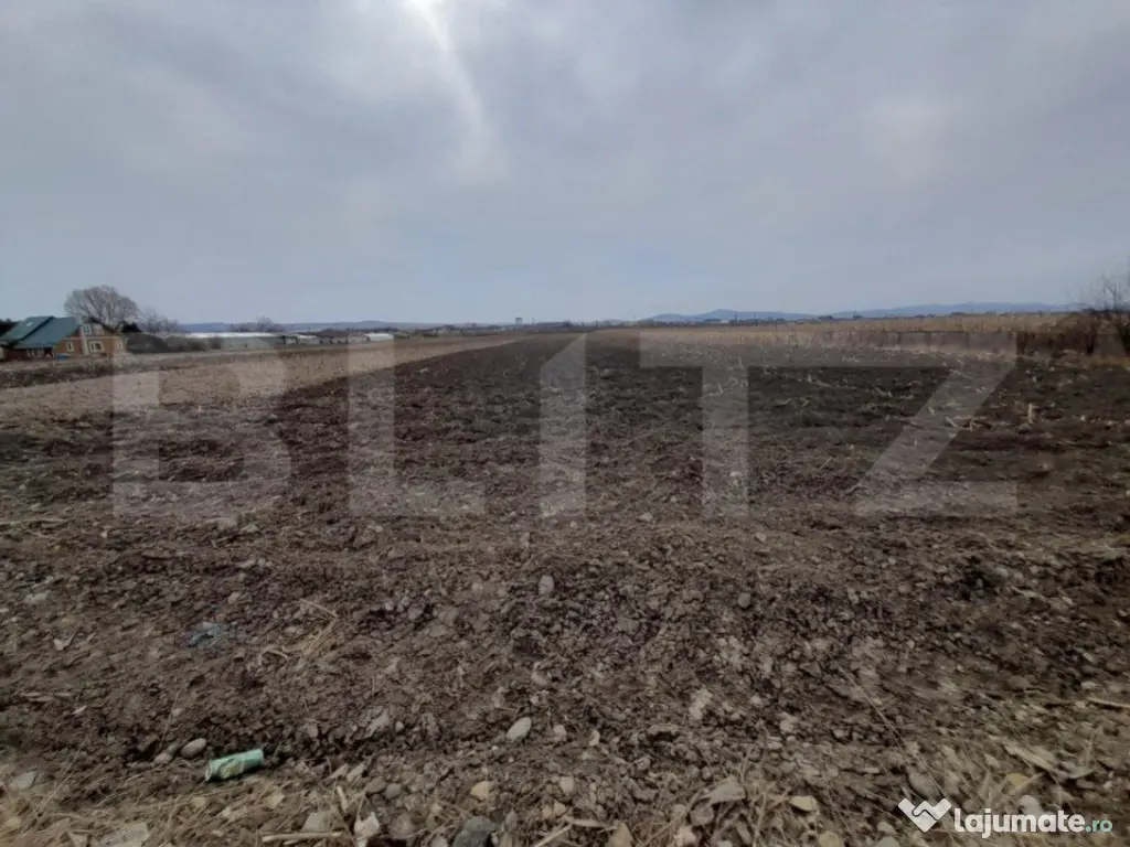 Teren De Vanzare langa Crama Jelna