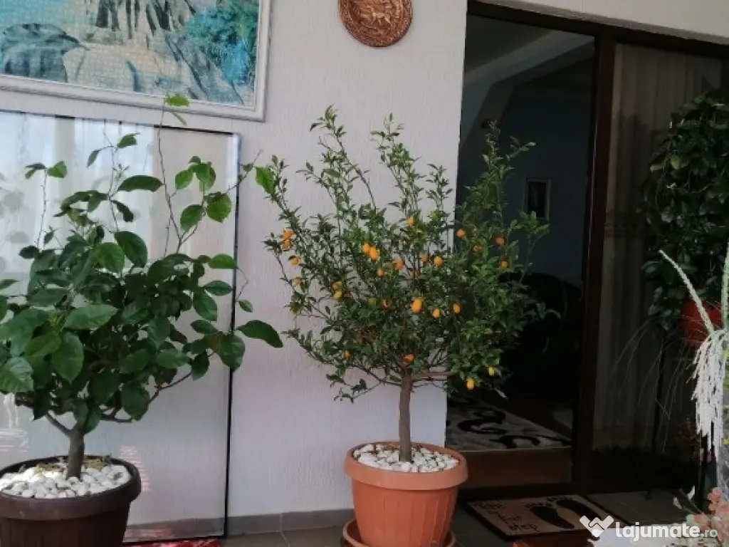 Casa/Vila ( P + Etaj + Pod ) sistem duplex - Zona Sf.Ilie 