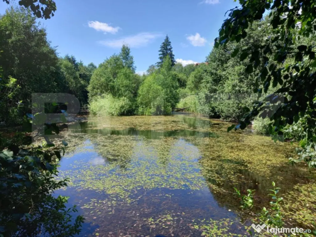 Ocazie unică de investiție, Poiana Stampei, cabană, 6060 