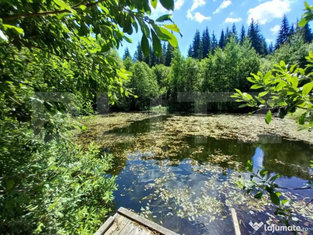 Ocazie unică de investiție, Poiana Stampei, cabană, 6060 