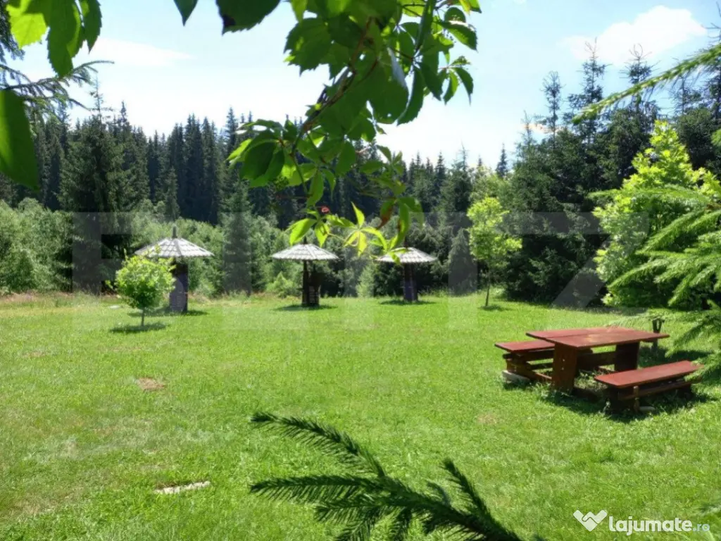 Ocazie unică de investiție, Poiana Stampei, cabană, 6060 