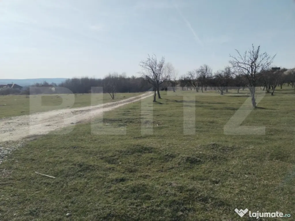 Teren intravilan cu suprafață de 9ha, Aninoasa