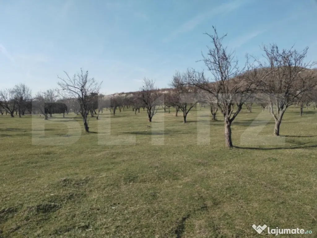 Teren intravilan cu suprafață de 9ha, Aninoasa