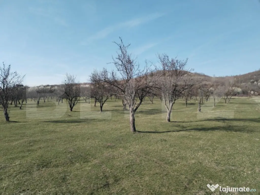 Teren intravilan cu suprafață de 9ha, Aninoasa