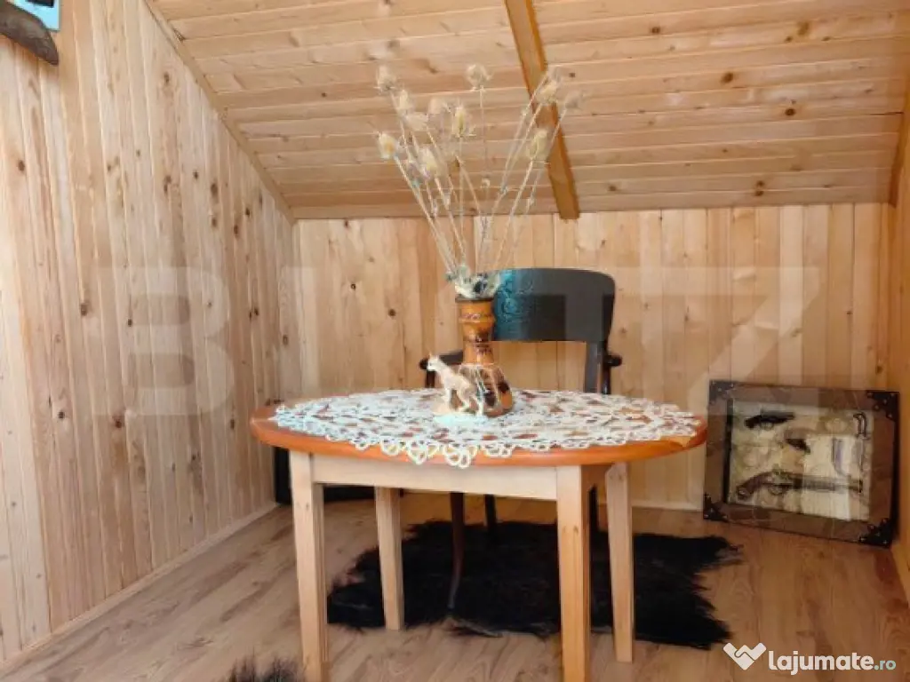 Ocazie unica! Cabana 200 mp utili, teren 800 mp, Ilisesti
