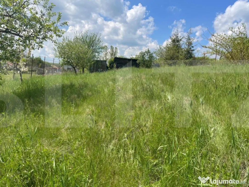 Investitie ! Teren intravilan,494 mp, front 14 m,cart Dâmbu