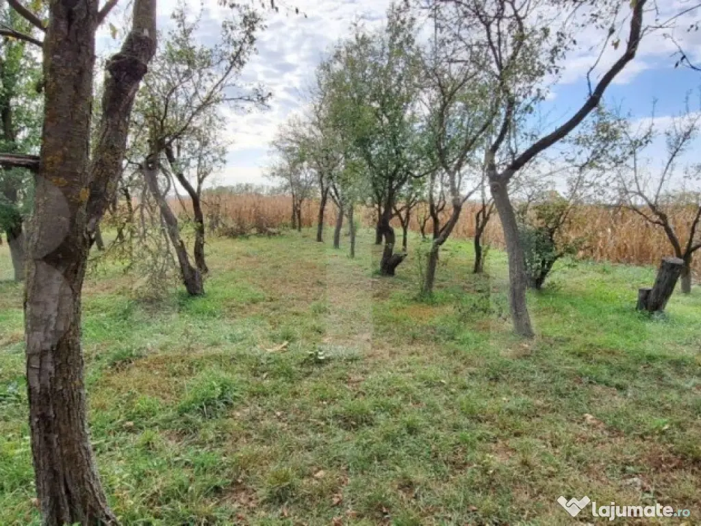 Casa bătrânească cu anexe , teren de 4200mp, zona Madaras