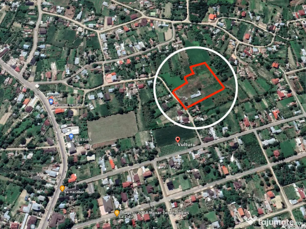 Teren Central Vulturu