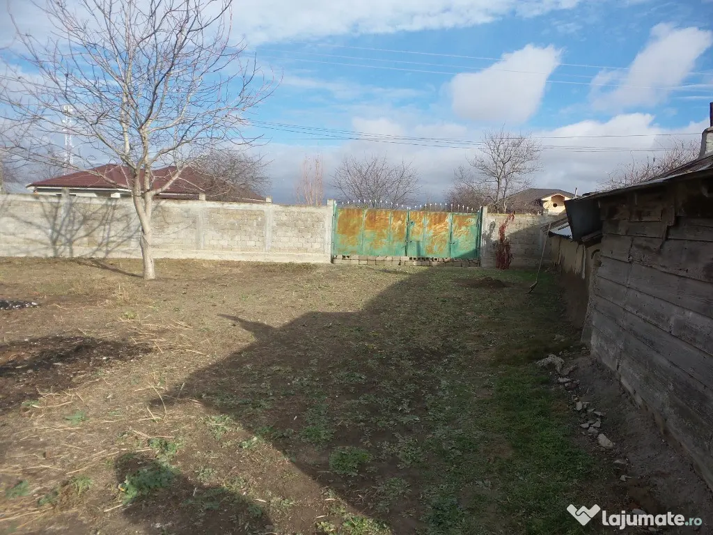 Teren Central Vulturu