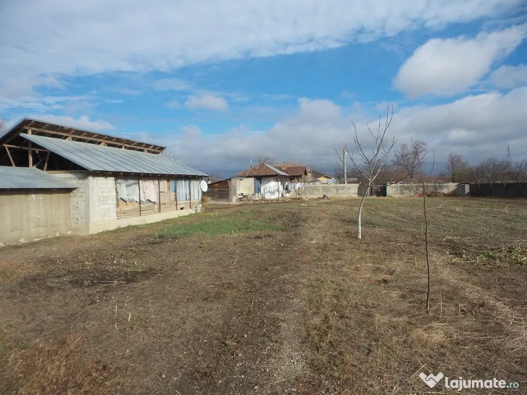 Teren Central Vulturu