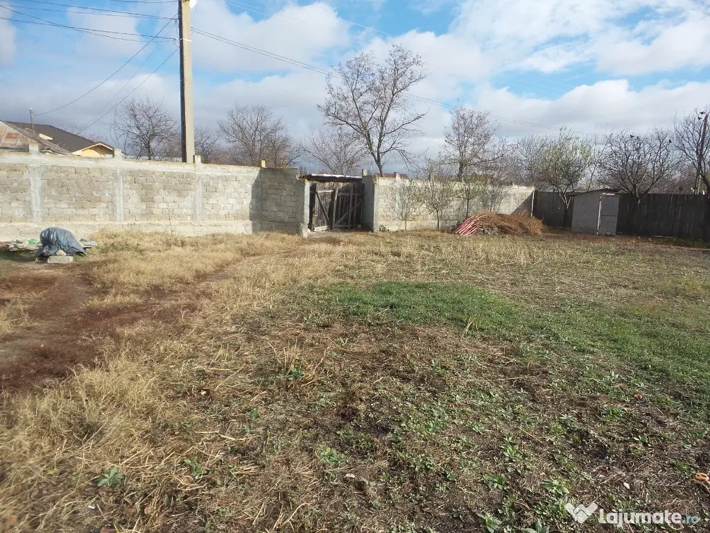 Teren Central Vulturu